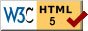 HTML validation icon